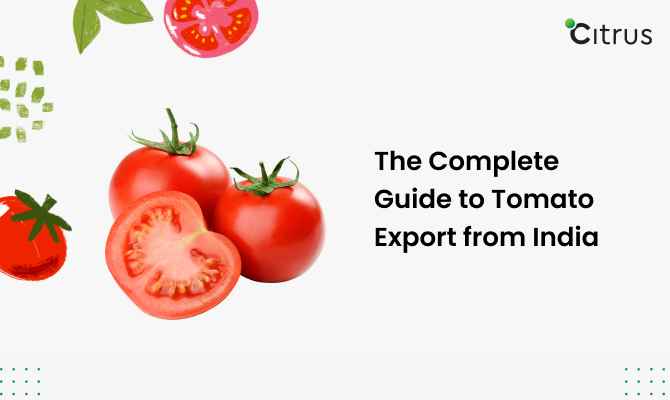 Tomato Export From India, Export Quality Tomato