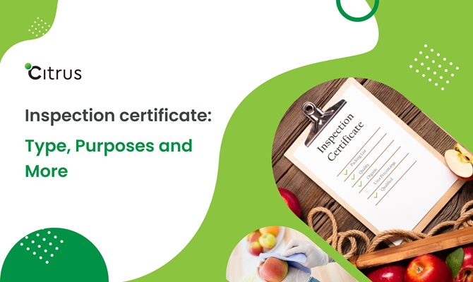 What is an inspection certificate? Type, Purposes and More