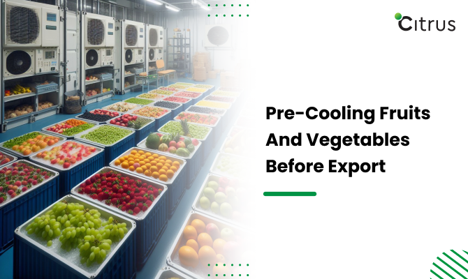 The Importance of Pre-cooling Fruits and Vegetables Before Export