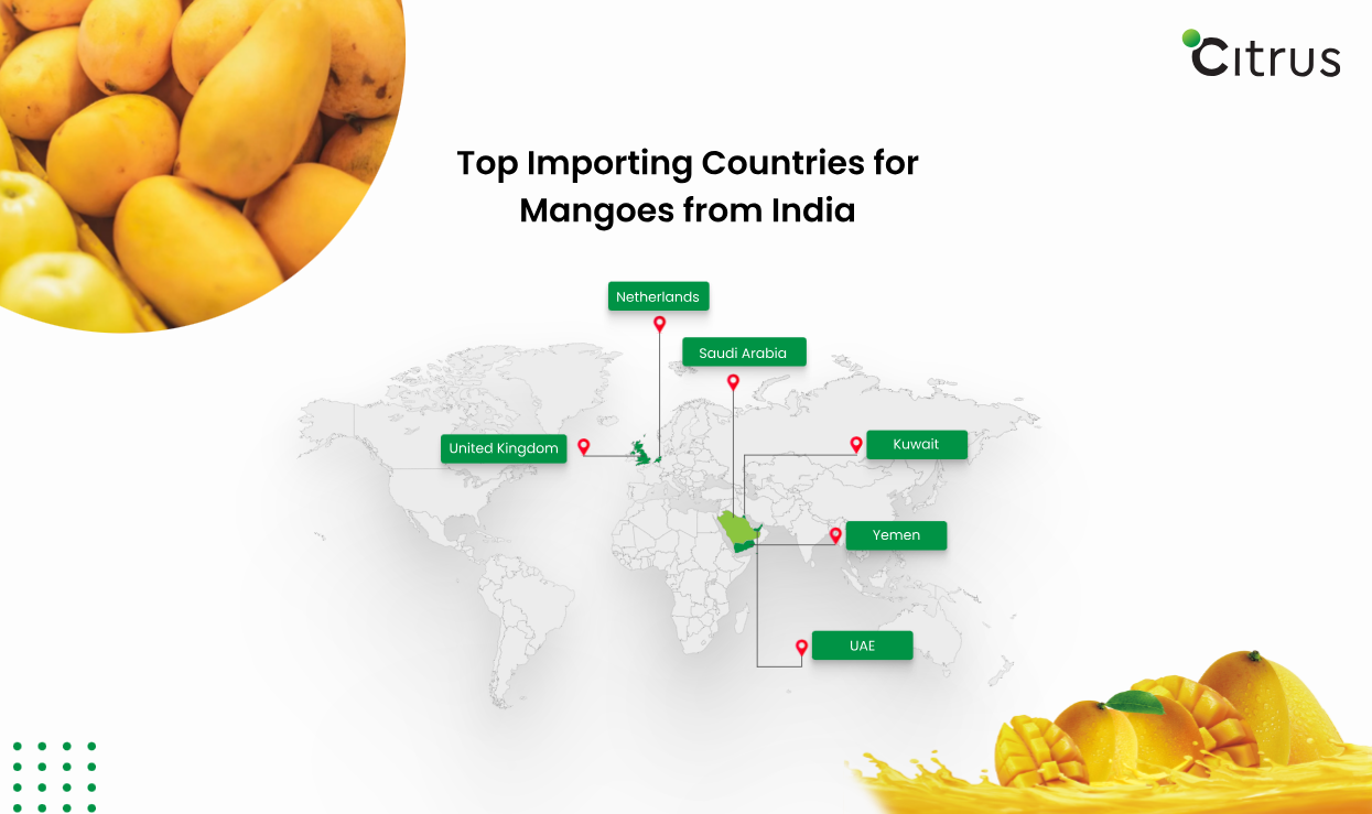 mango export business plan