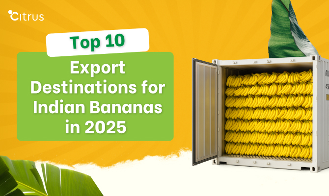 Top 10 Export Destinations for Indian Bananas in 2025