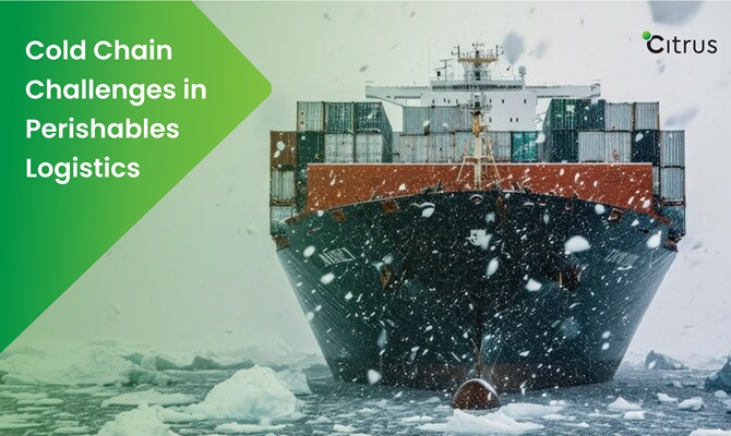 Cold Chain Challenges in Perishables Logistics