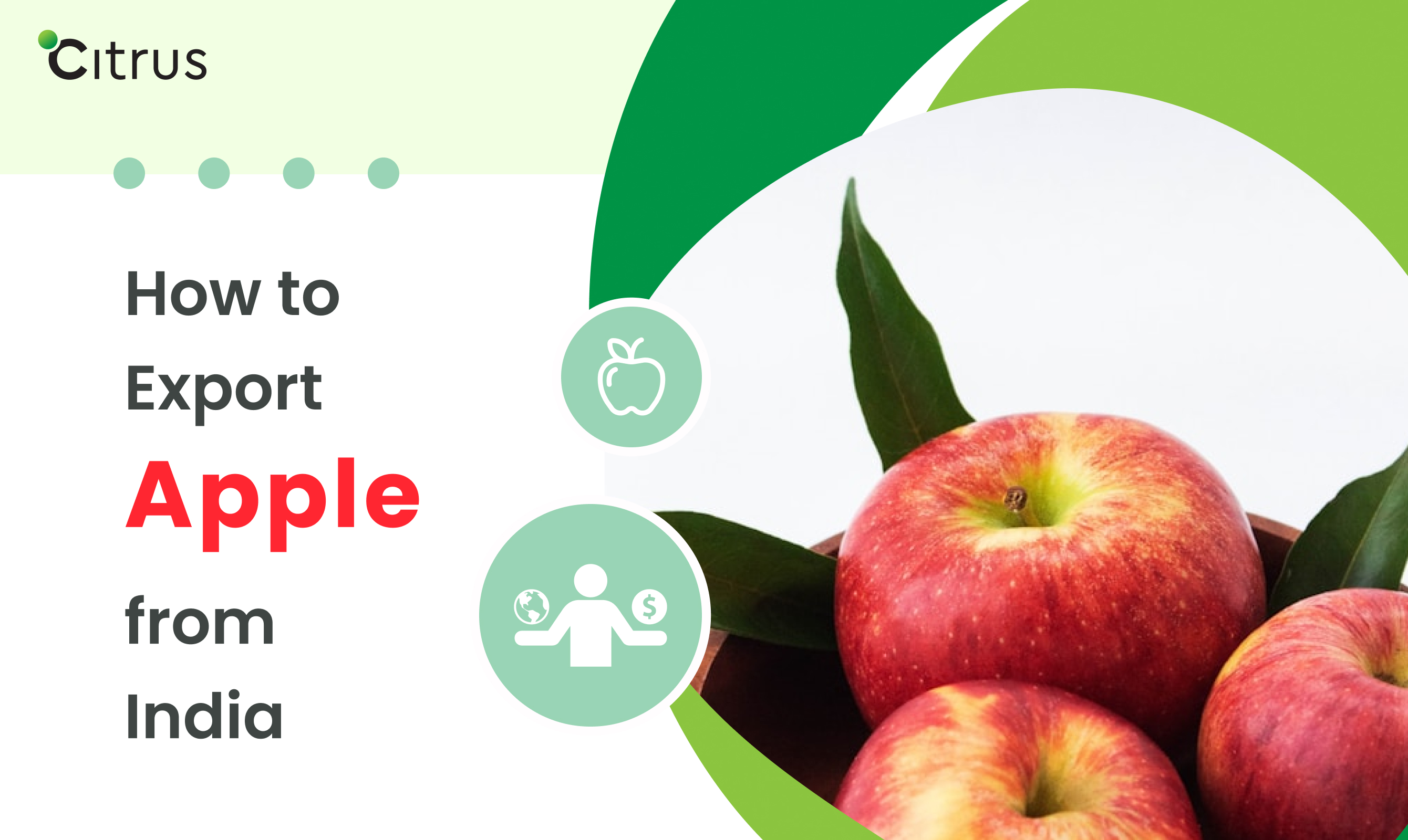 Step-by-Step Guide on How to Export Apples from India