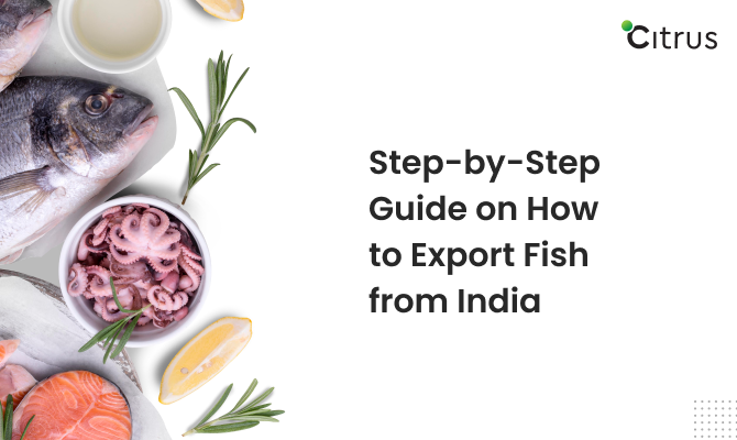 Step-by-step Guide on How to Export Fish From India 