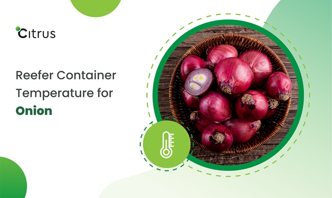 Reefer Container Temperature for Onion