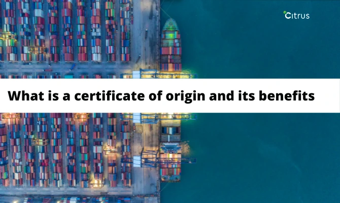 What is a Certificate of Origin for exports?