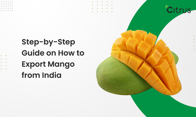 How to Export Mango From India