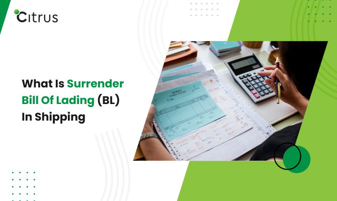 What is Surrender Bill of Lading (BL) in shipping