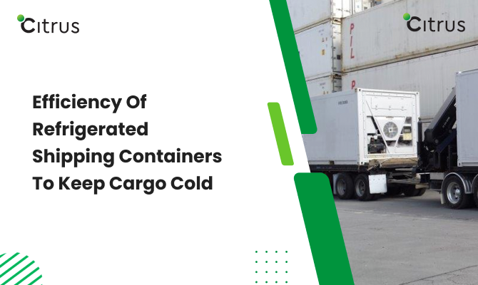 How Efficiently Refrigerated Shipping Containers Keep Your Cargo Cold