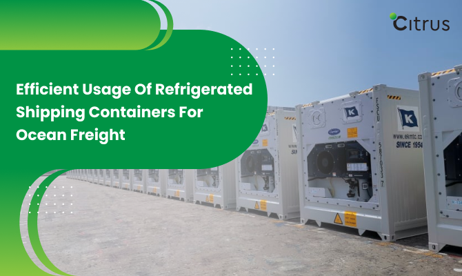 How to efficiently use refrigerated shipping containers for Ocean Freight