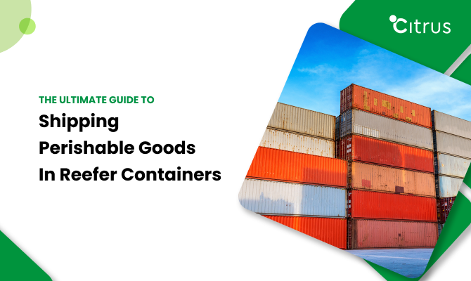 How to Ship Perishable Goods In Reefer Container