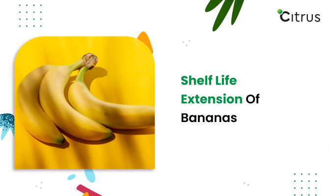 How to extend the shelf life of bananas for exporting