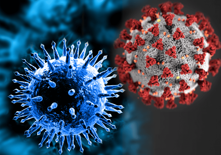 An illustration showing the influenza and covid-19 virus