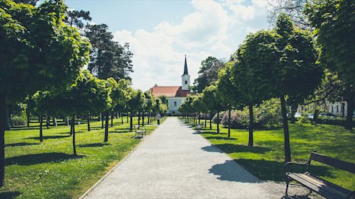 New blog image for slug carol-smillie-becomes-celebrant-at-humanist-funerals