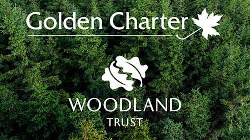 New blog image for slug helping-the-woodland-trust-safeguard-our-environment