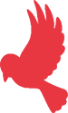 Funeral plan icon