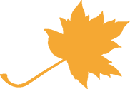 Funeral plan icon