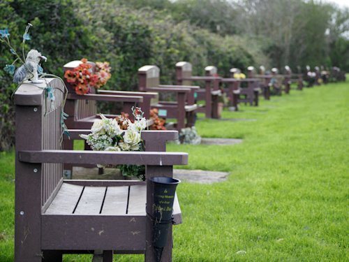 Memorial benches in a park