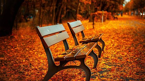 Read more about Coping with bereavement
