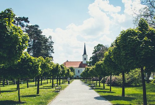 Blog image for Funeral etiquette and what to expect 