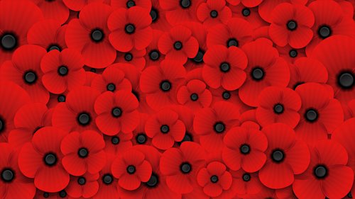 New blog image for slug golden-charter-supporting-the-royal-british-legion-and-poppyscotland-for-a-fourth-year