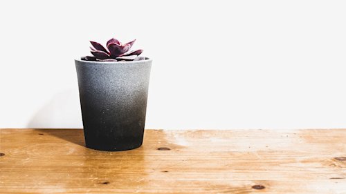 New blog image for slug decluttering-tidying-up-with-marie-kondo