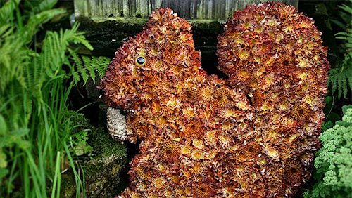 New blog image for slug how-individual-do-you-want-your-funeral-to-be