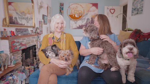 Golden Charter & The Cinnamon Trust hero