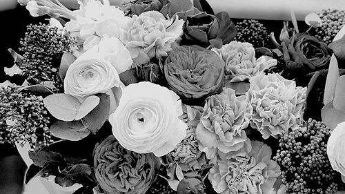 New blog image for slug how-to-choose-flowers-for-a-funeral