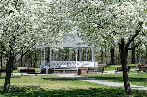 Blog image for An introduction to non-religious funerals 