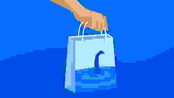 Illustration of a person holding a shopping bag with the lochness monster drawn on it, symbolozing ecommerce myths