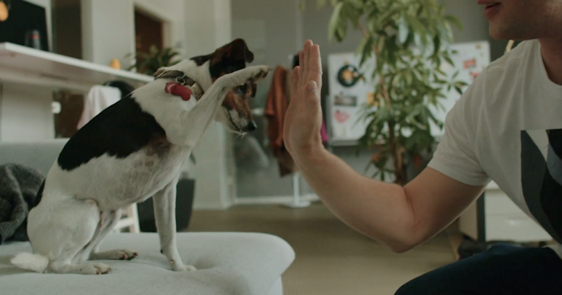 video thumbnail for the video with the id 3icvnsqry8