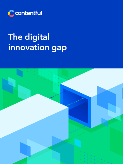 the-digital-innovation-gap