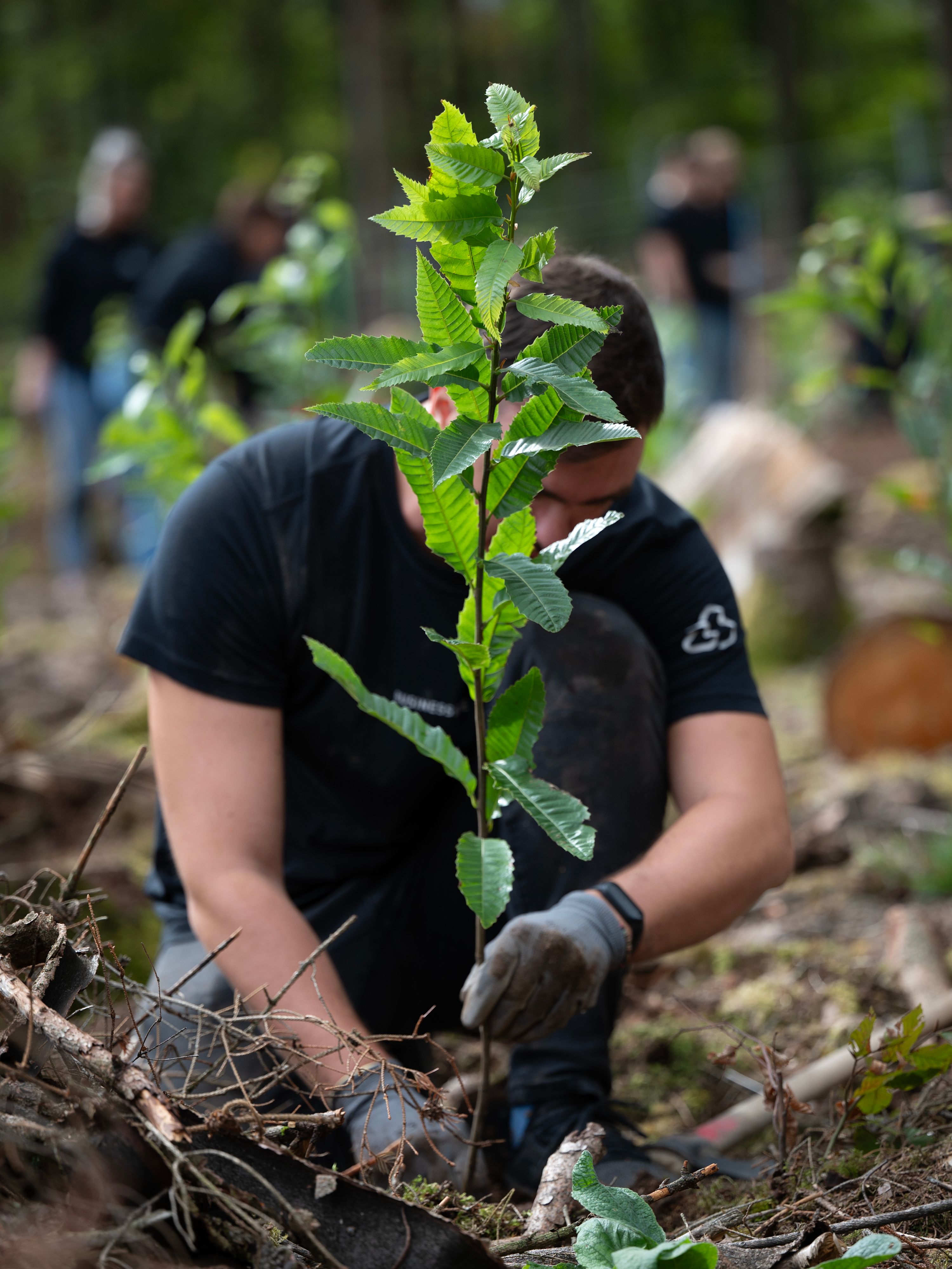 BusinessBike unterstützt Bergwaldprojekt e.V.