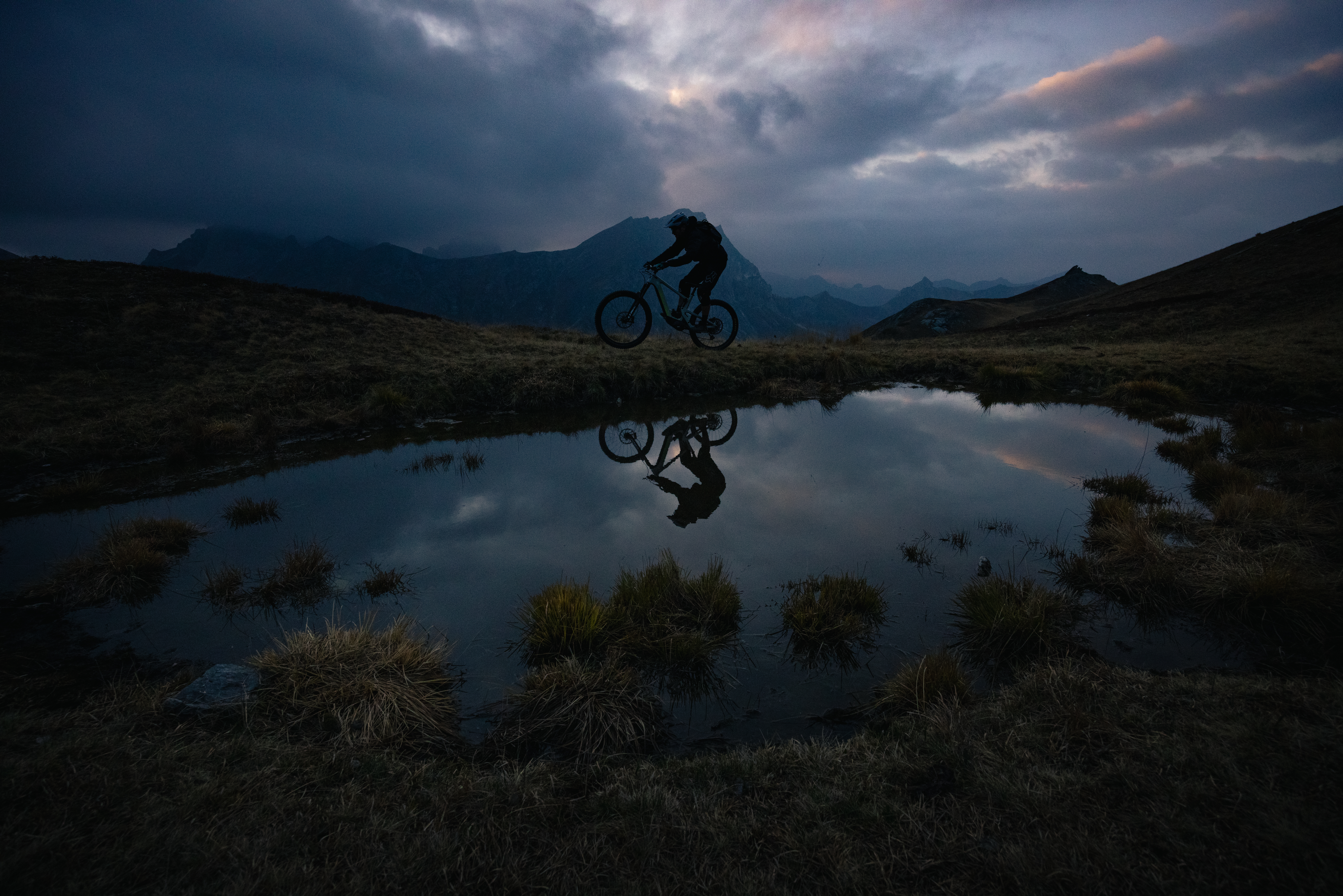 Zwei Menschen auf Fahrrädern. Lastenfahrrad mit Labrador im Anhänger.