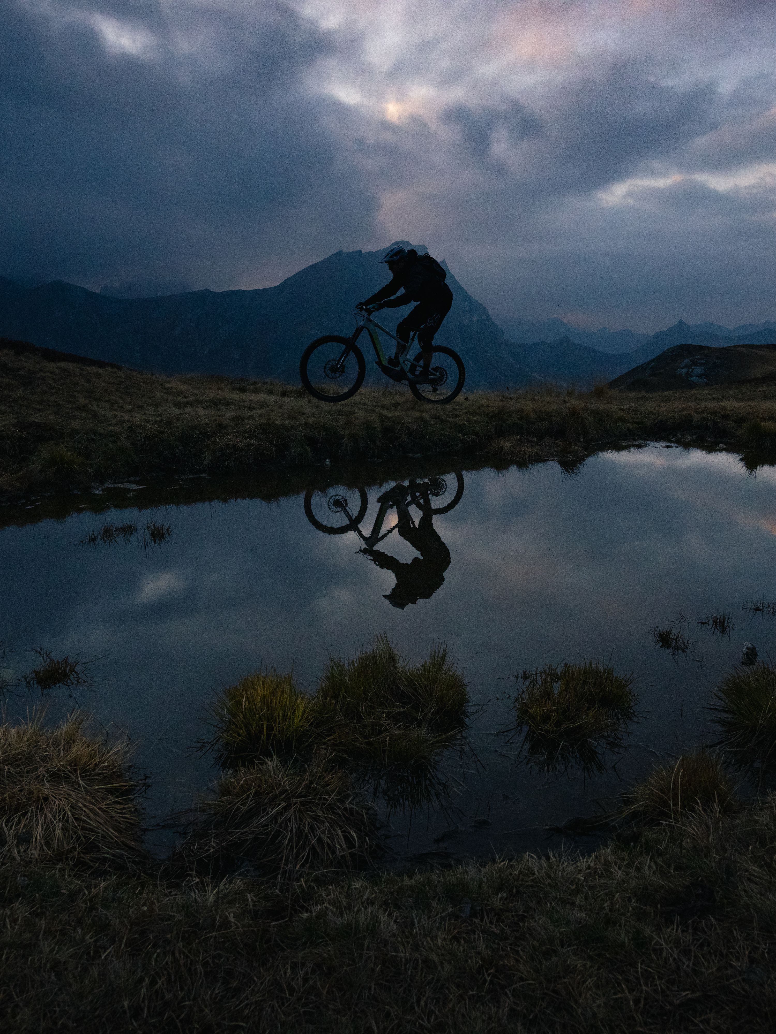 Zwei Menschen auf Fahrrädern. Lastenfahrrad mit Labrador im Anhänger.