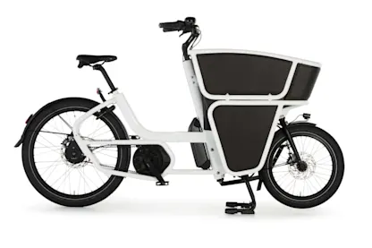 Urban Arrow Shorty