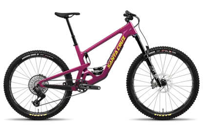 Santa Cruz Bronson