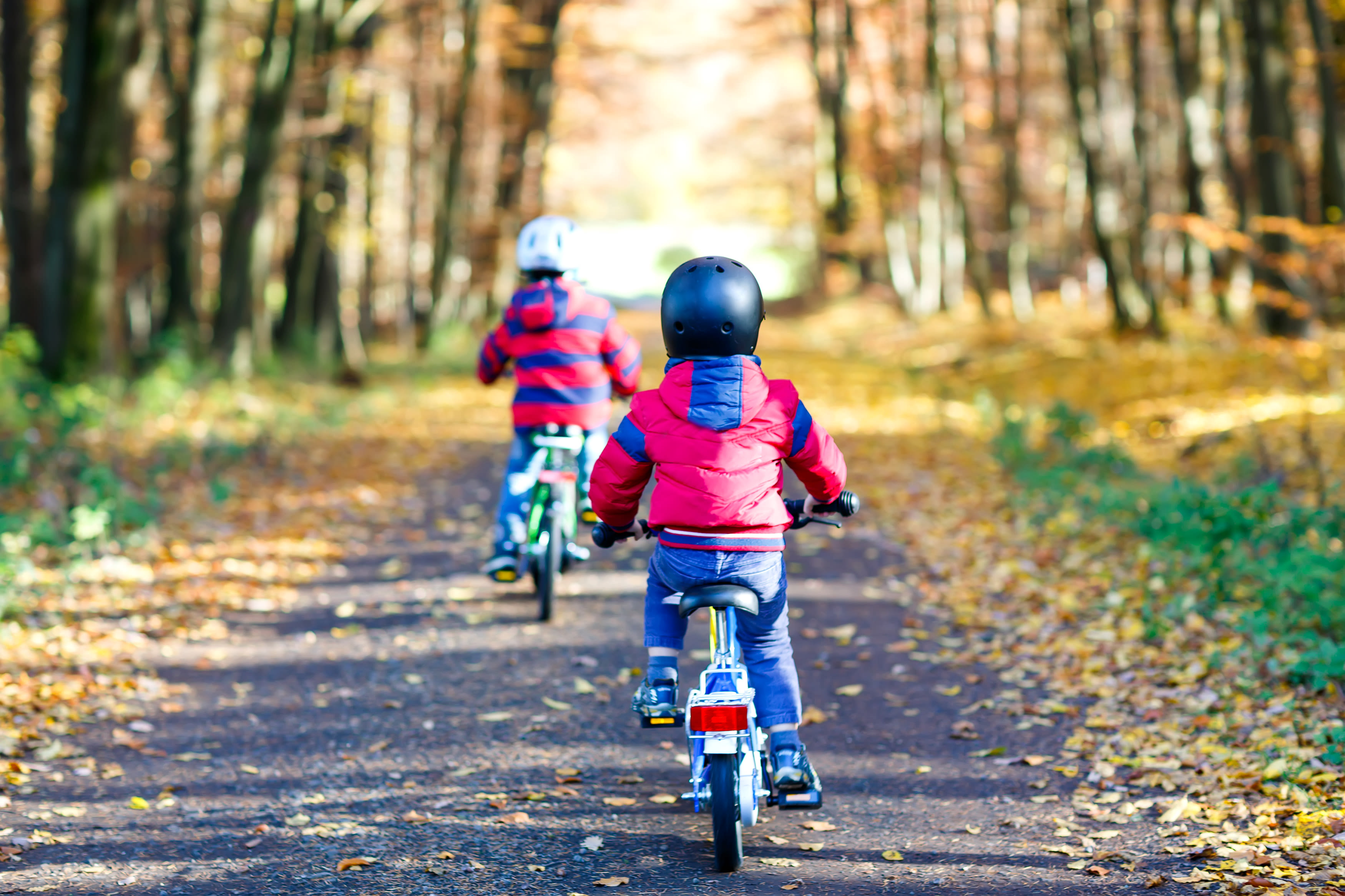 Bild Kinder beim Fahrrad fahren