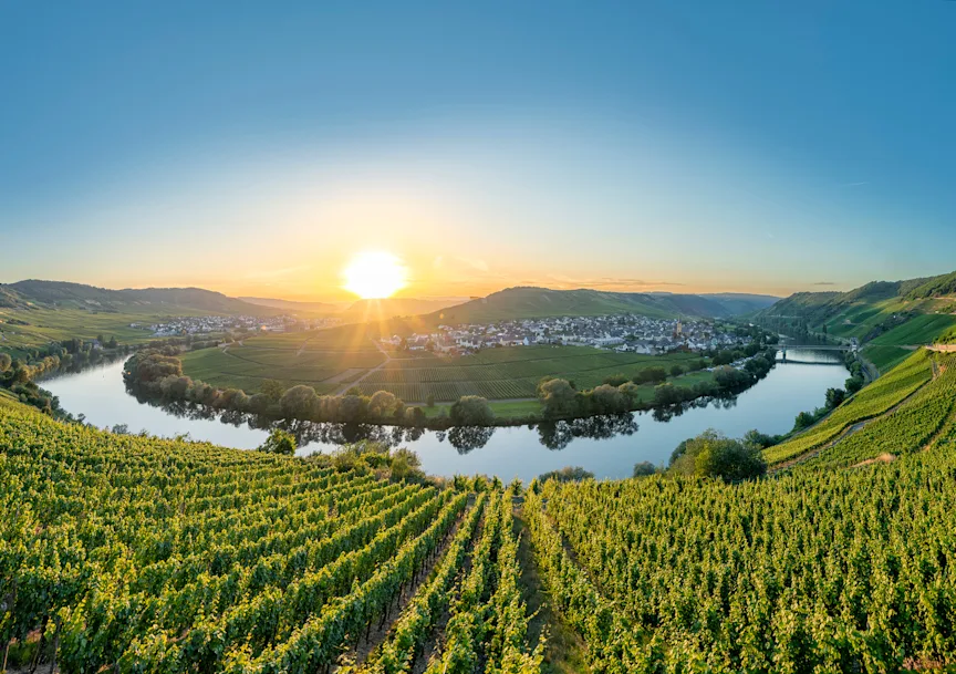 Bild Mosel Moselschleife