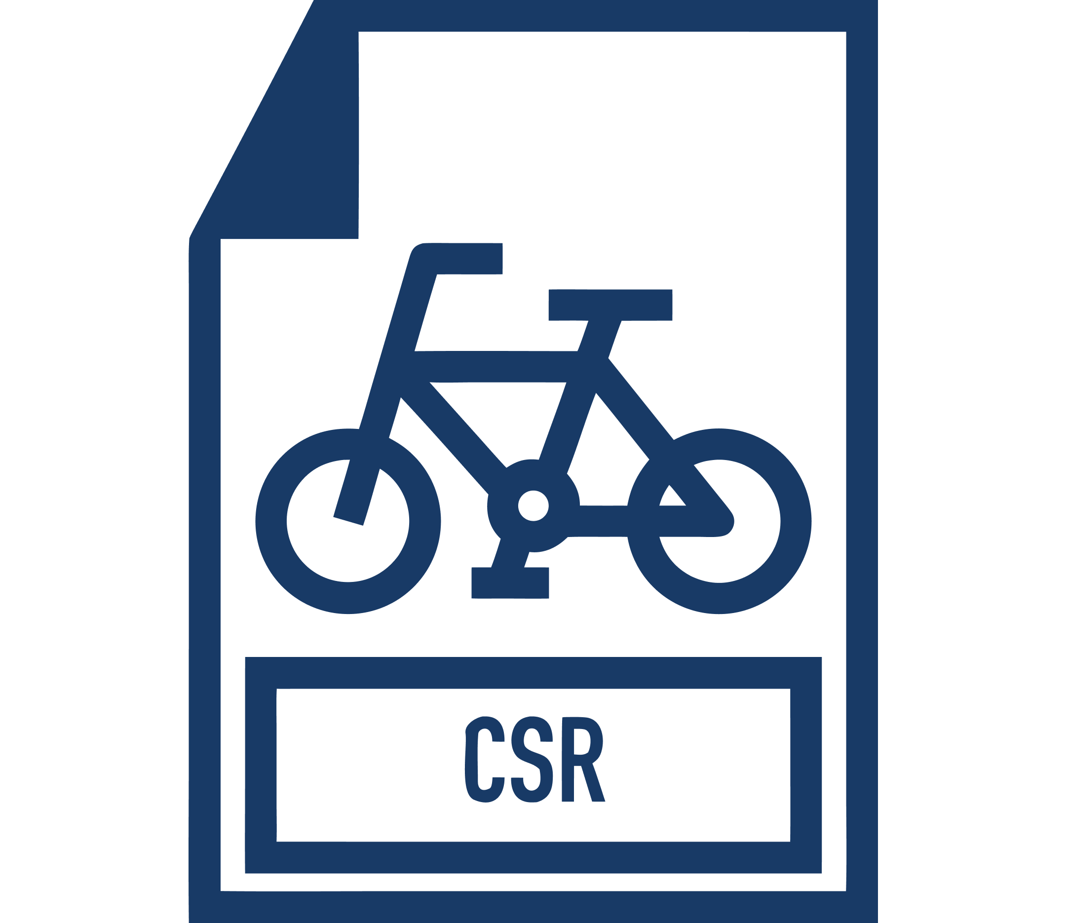Icon CSR NEU