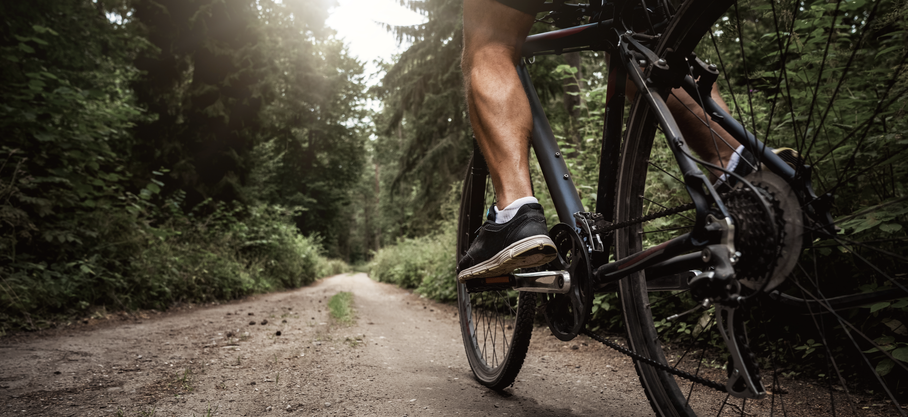 Muskulöse Waden eines Fahrradfahrers, der an einem sonnigen Tag auf seinem Bike durch den Wald fährt.