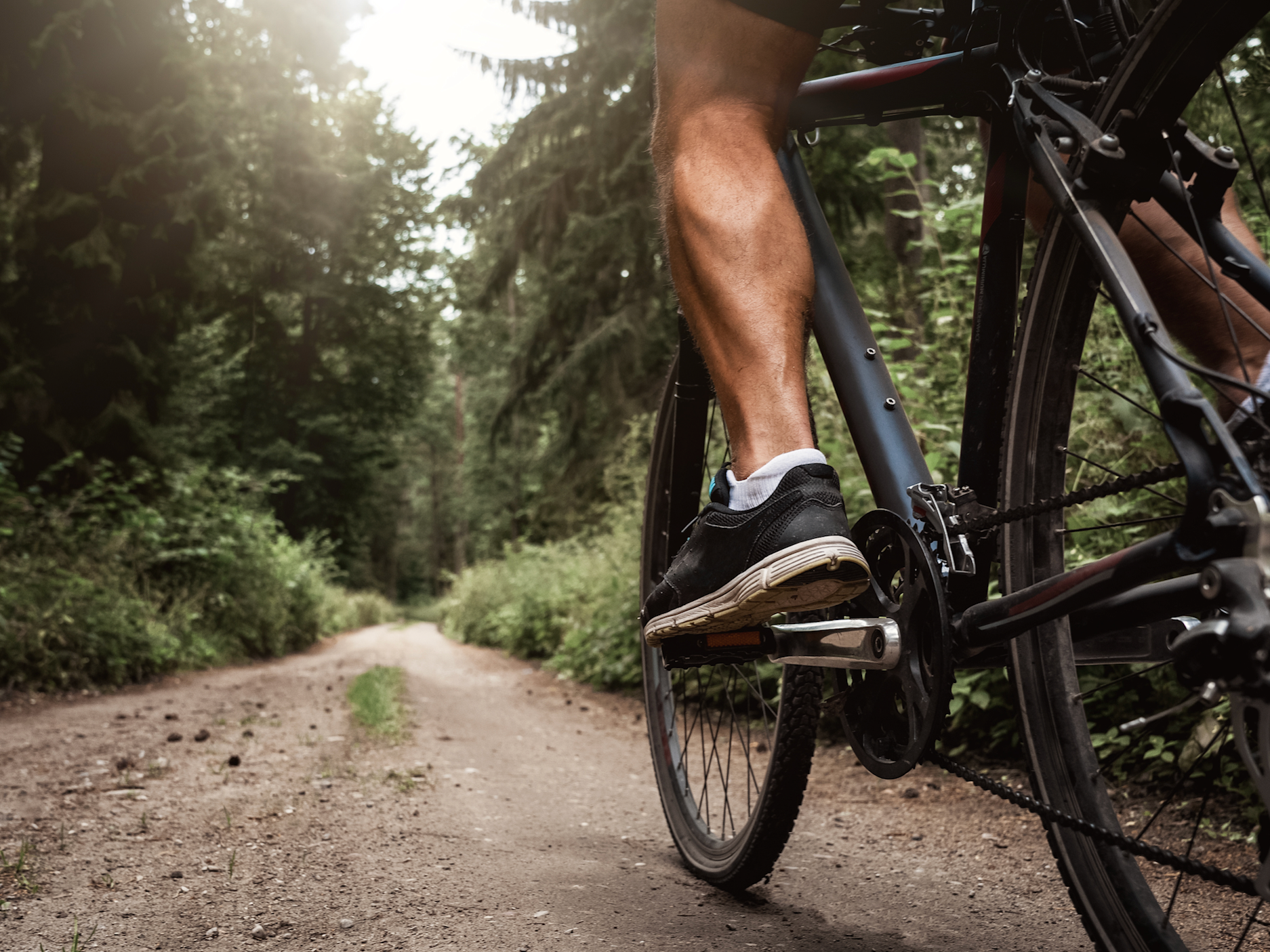 Muskulöse Waden eines Fahrradfahrers, der an einem sonnigen Tag auf seinem Bike durch den Wald fährt.