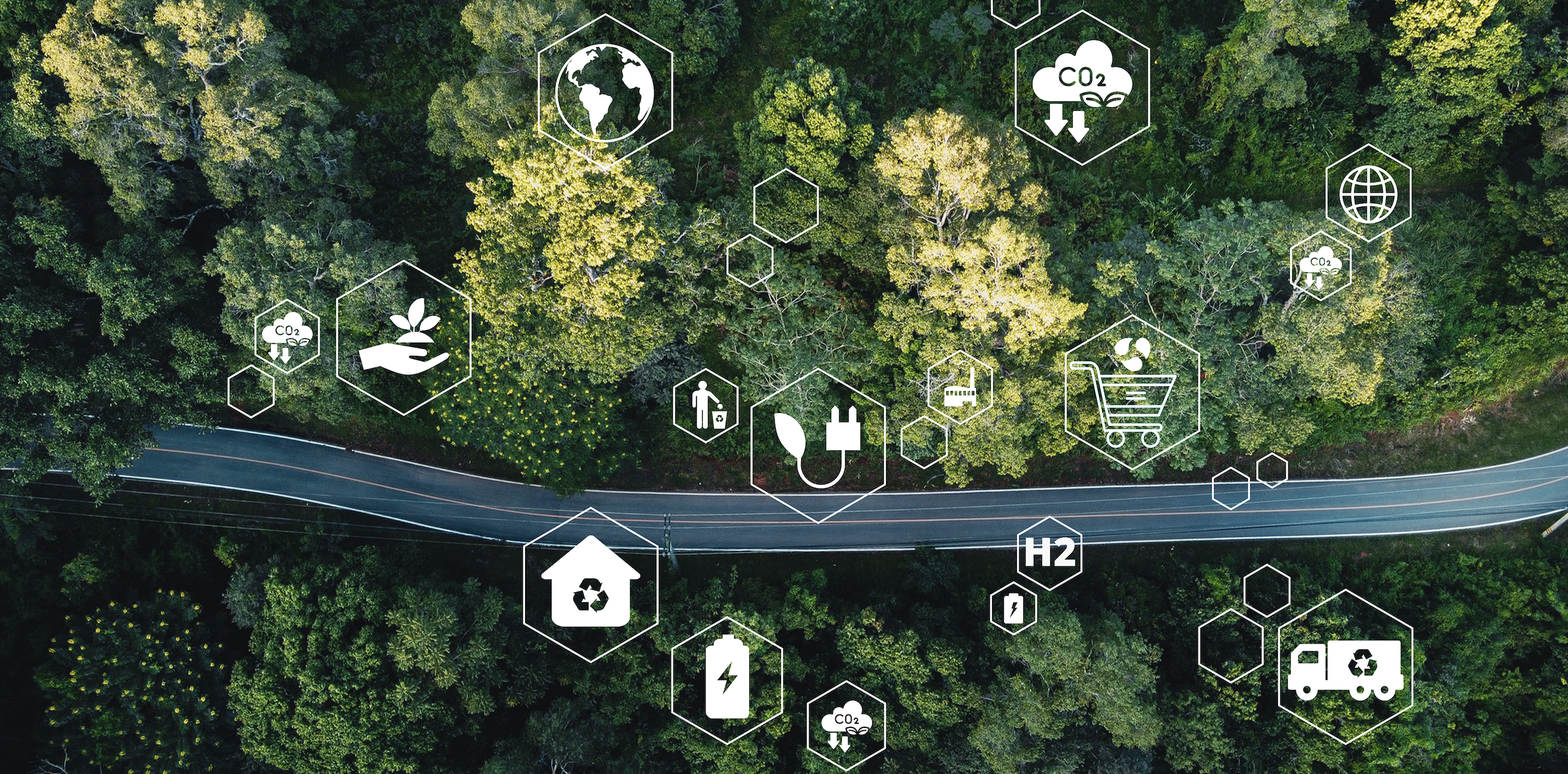 Straße durch den Wald mit Icons zum Thema Nachhaltigkeit