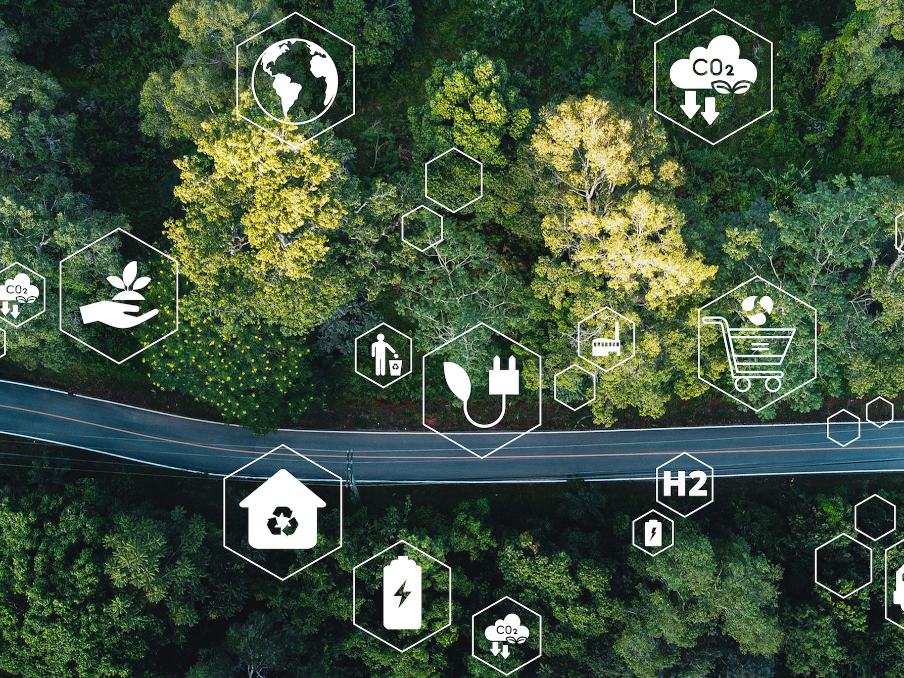 Straße durch den Wald mit Icons zum Thema Nachhaltigkeit