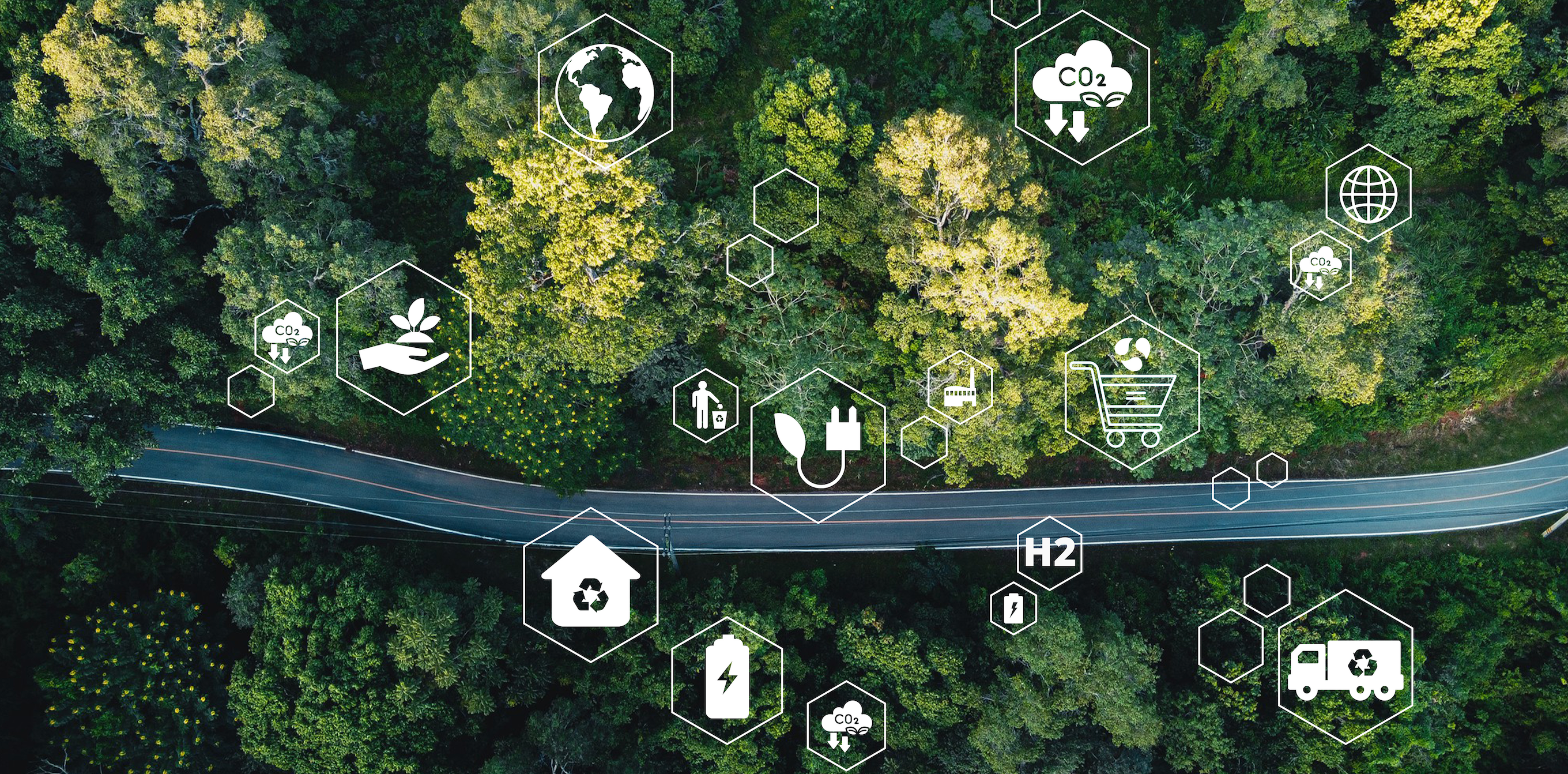 Straße durch den Wald mit Icons zum Thema Nachhaltigkeit