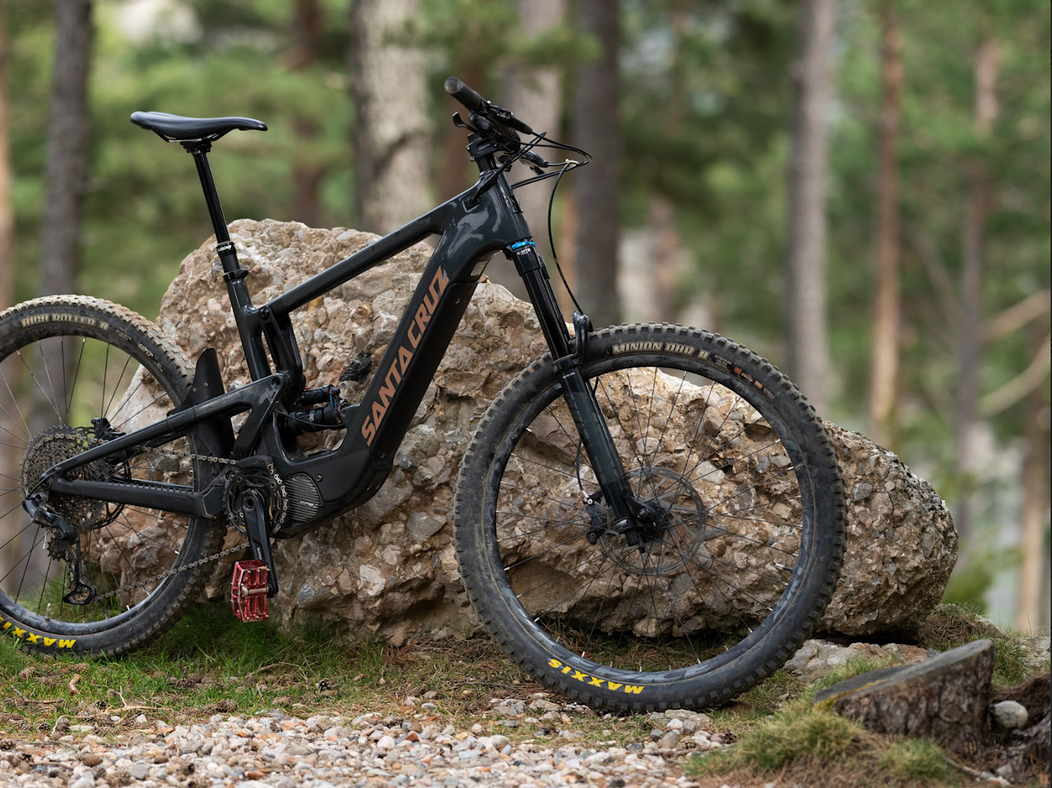 BusinessBike E-Bike im Wald