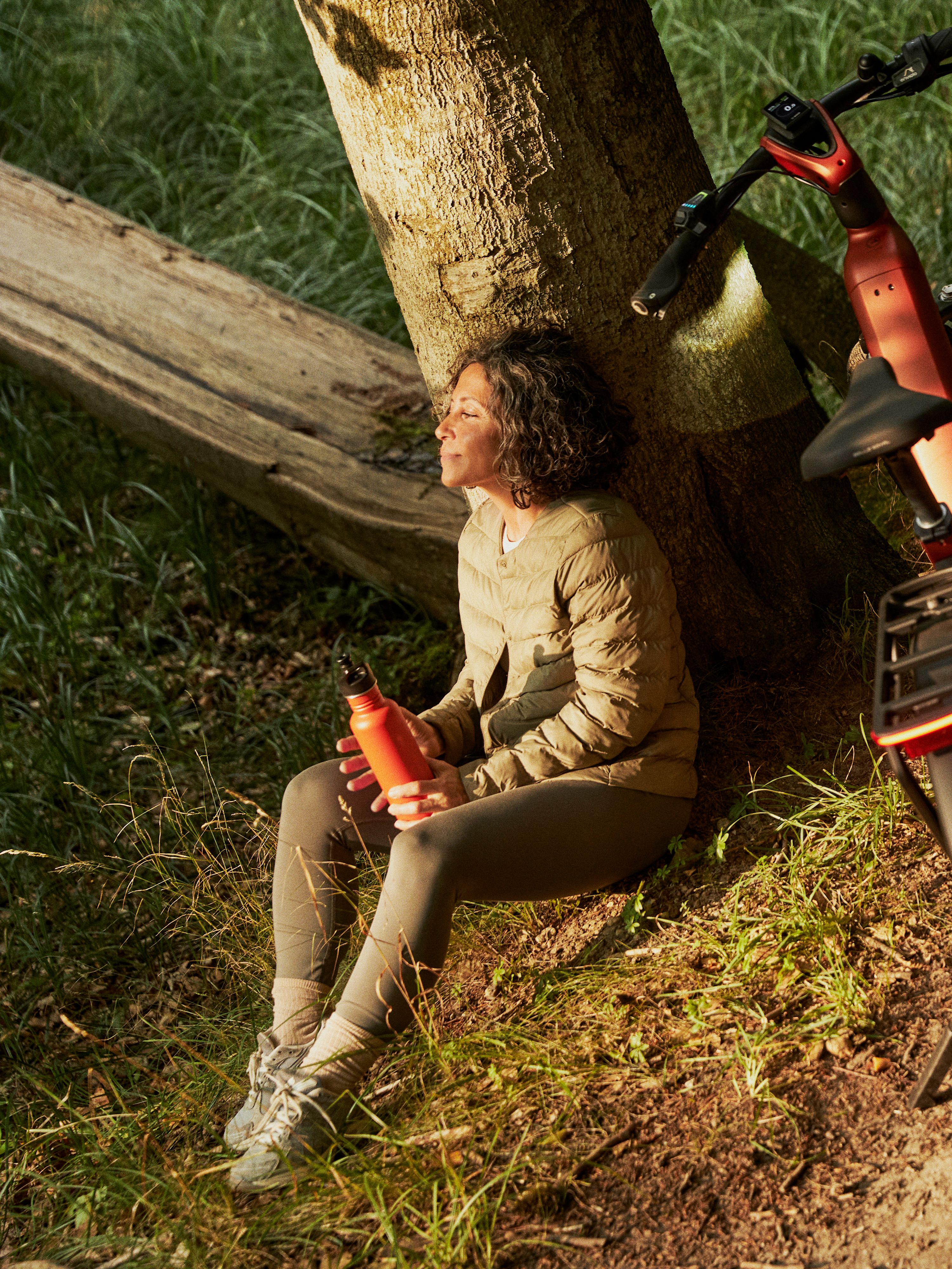 An ein Baum gelehntes Mountainbike