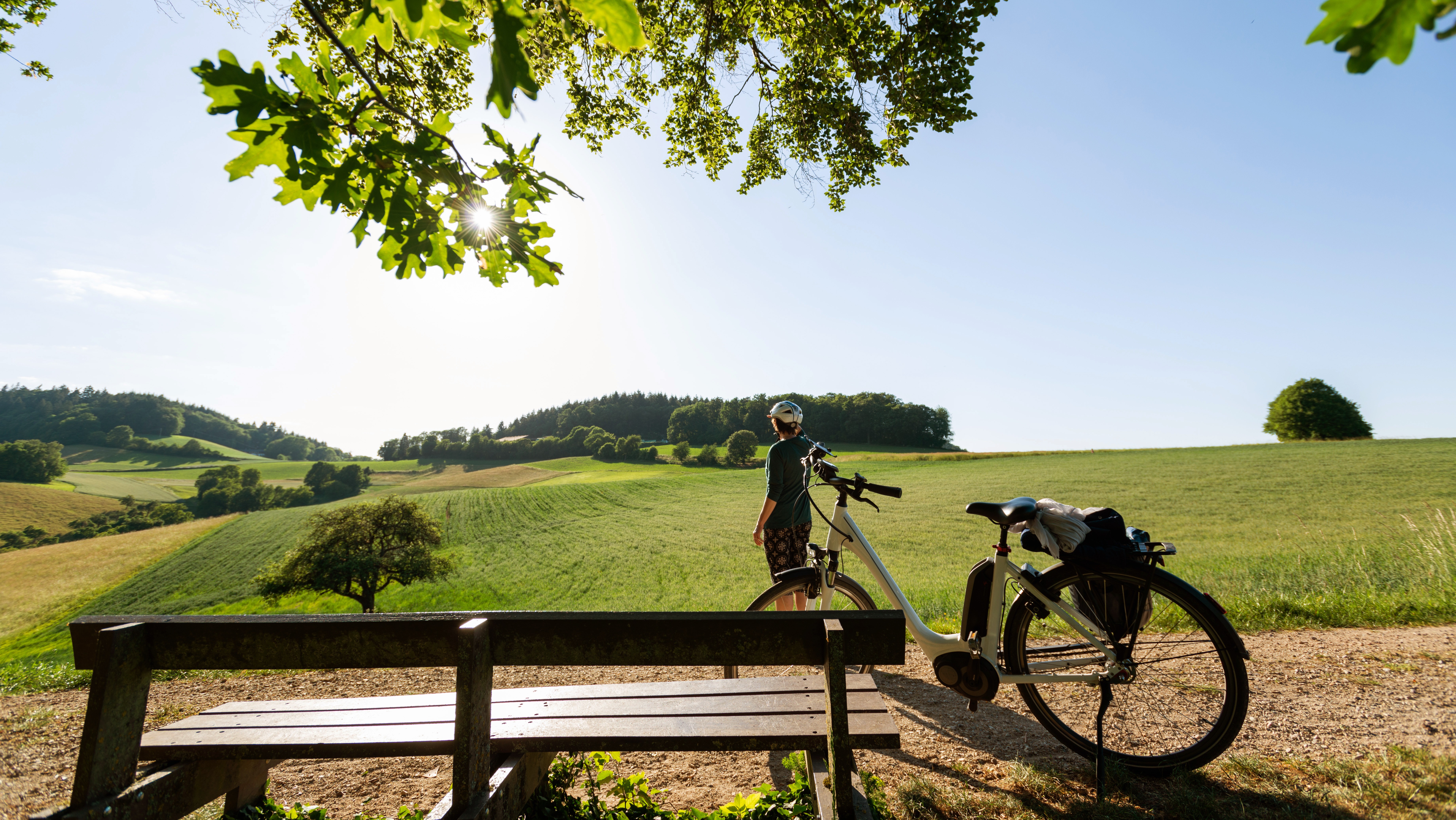 Fahrradfahrer auf einem Fahrradweg in der Natur