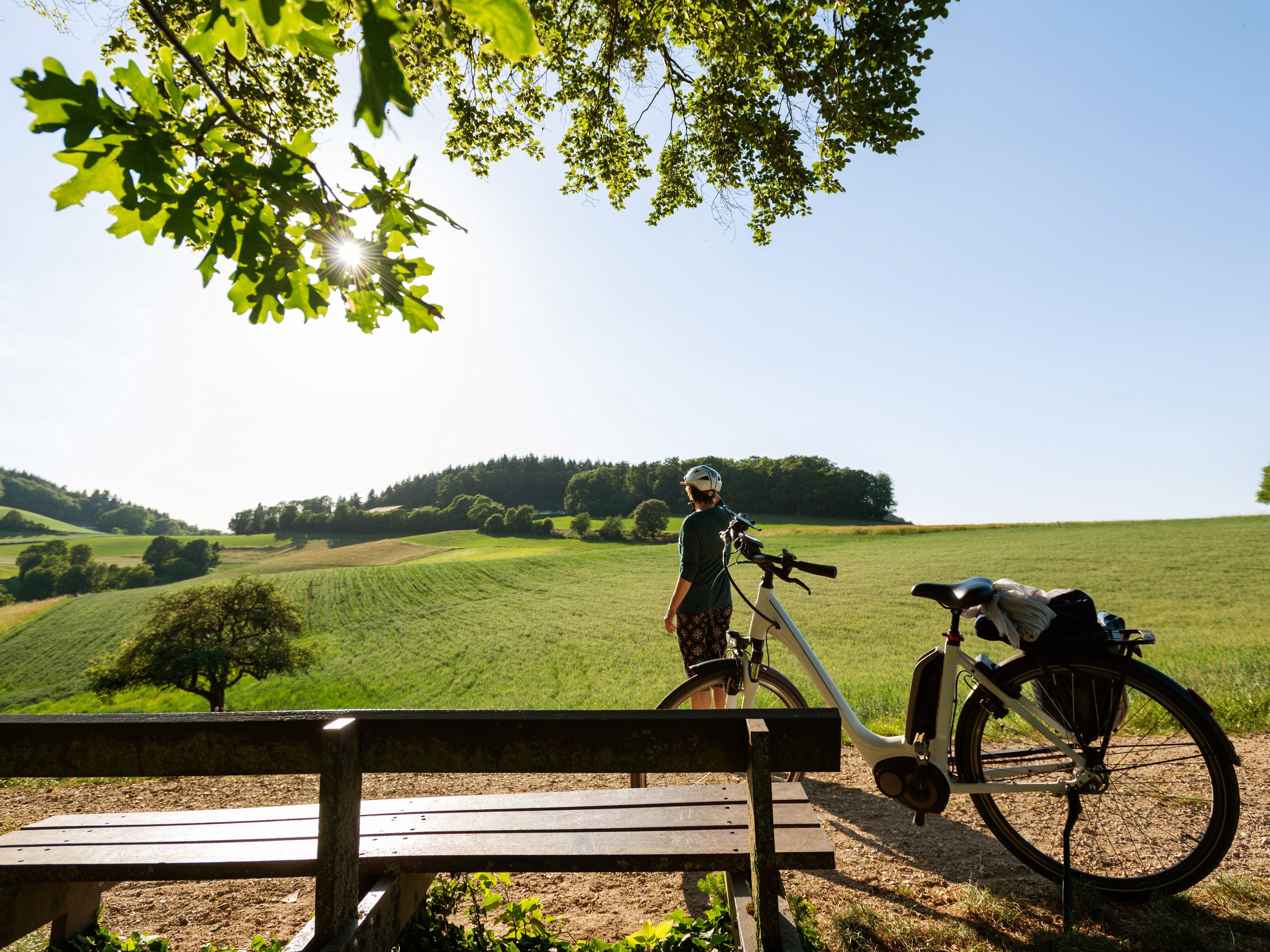 Fahrradfahrer auf einem Fahrradweg in der Natur